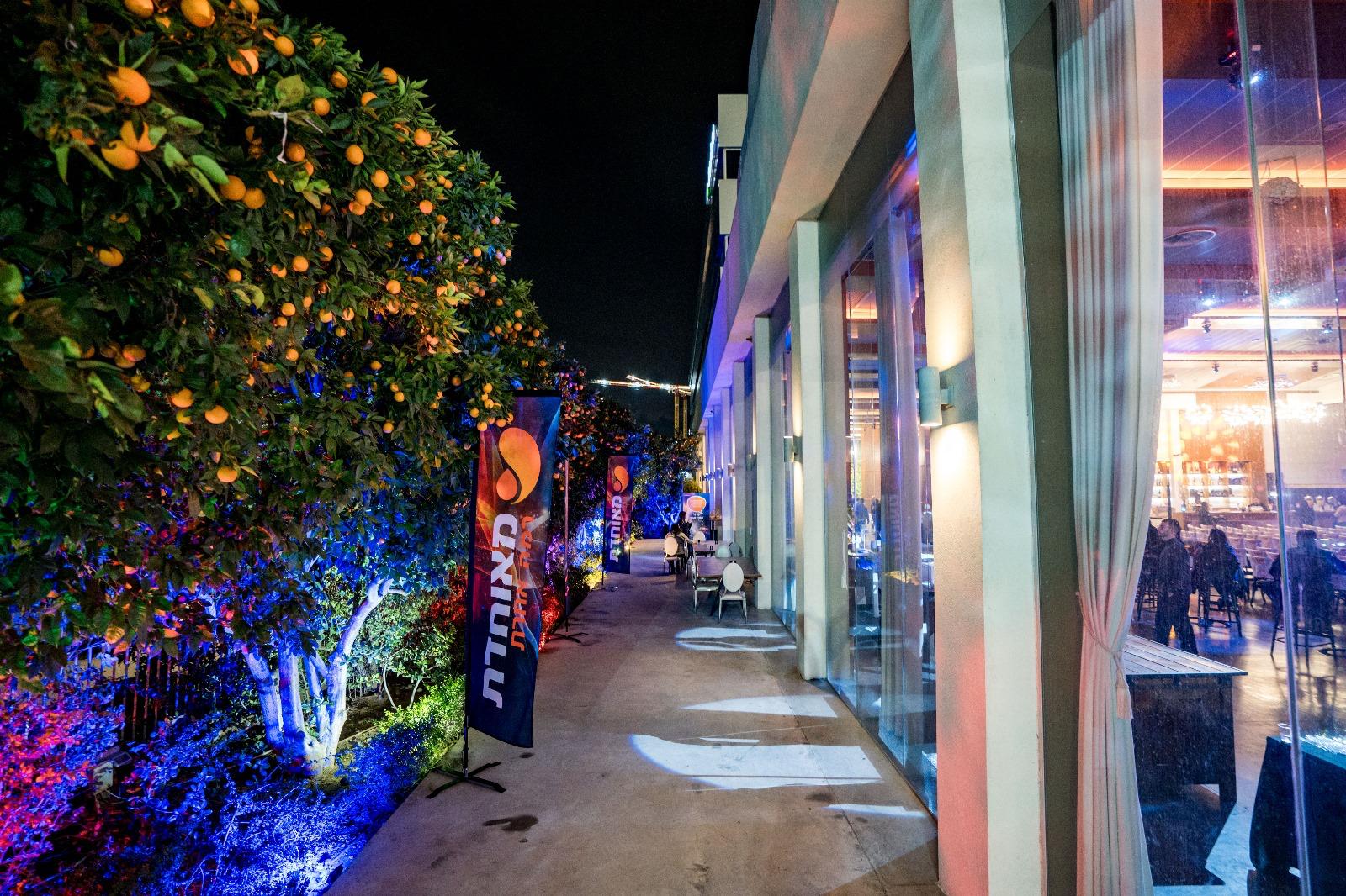 מרפסת חיצונית עם עצי הדר ותאורת אווירה